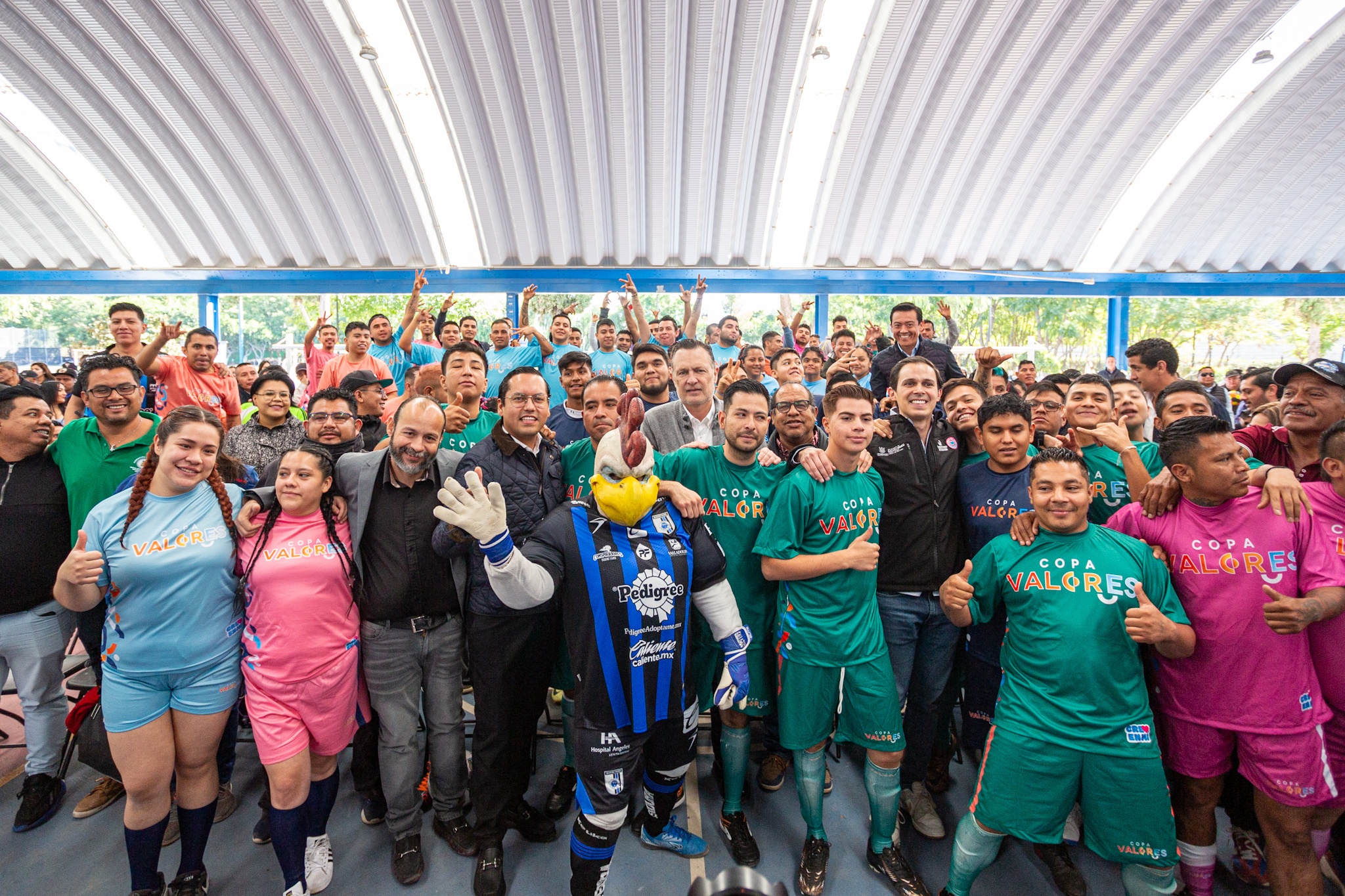 71_273_46229_846510669_26_11_2024