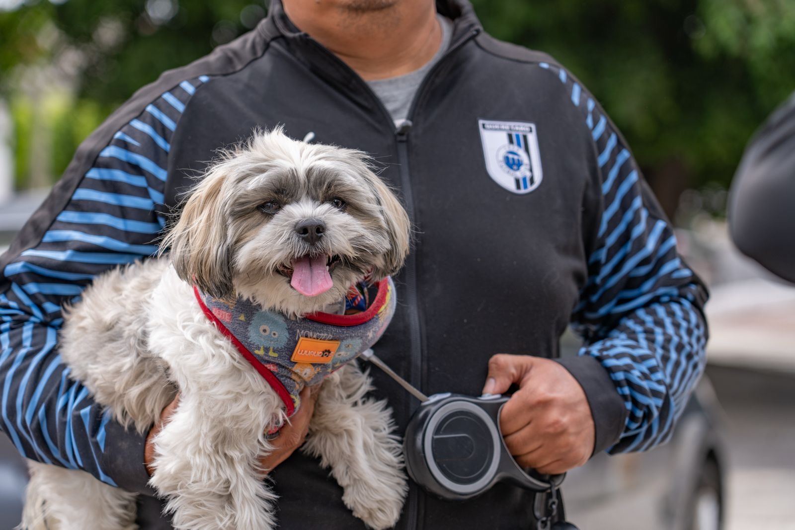 e7f46ca4-cfc1-4877-b5f2-6a000b365620