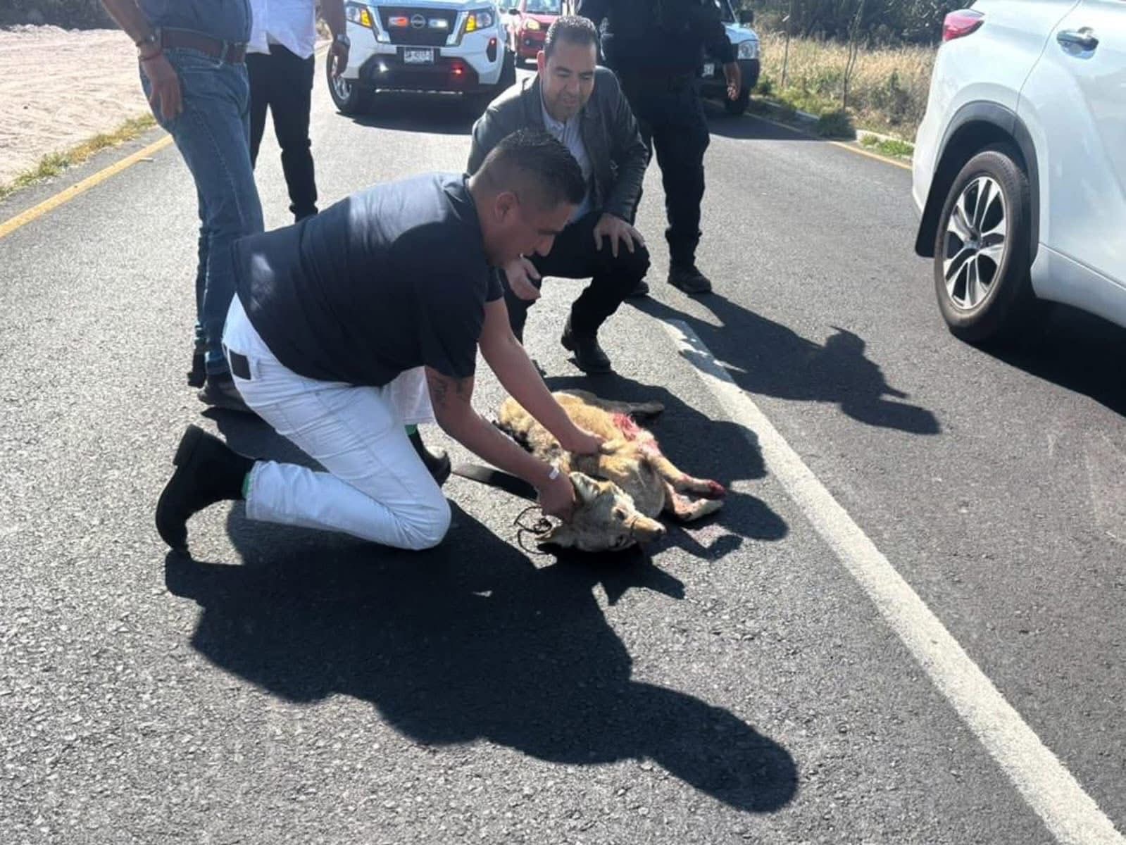 22b44c6d-328f-4931-9b83-43bfb83202ea