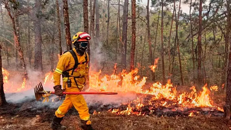 606af164-ce21-46e4-9144-c1792e972df8