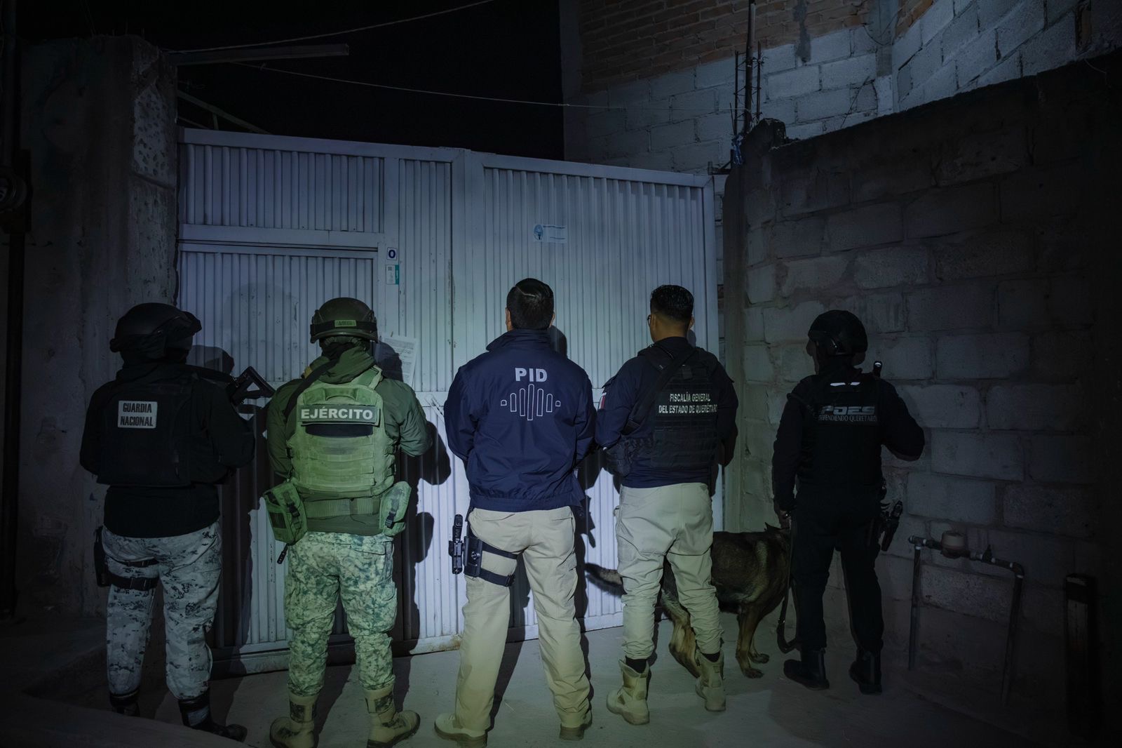 787aa187-cfa7-45ec-8dd6-6e5d2a370852