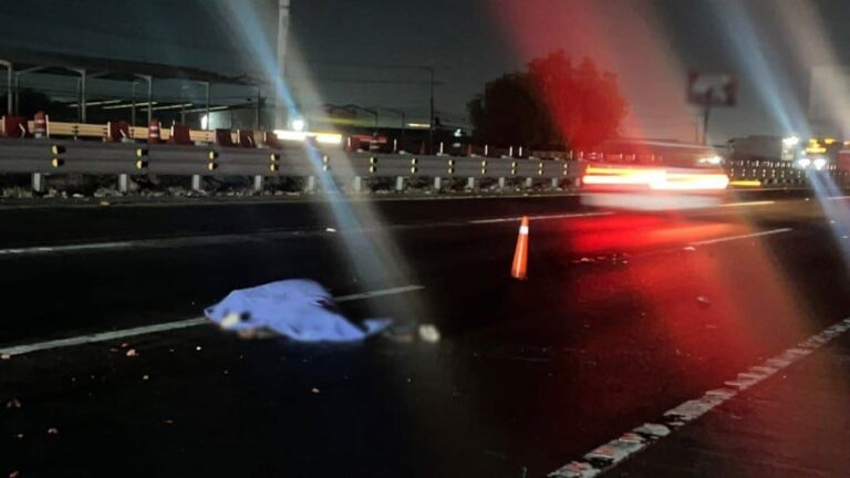 WhatsApp Image 2026-01-07 at 12.27.23 PM