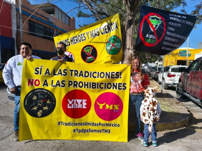 WhatsApp Image 2026-01-30 at 1.12.53 PM