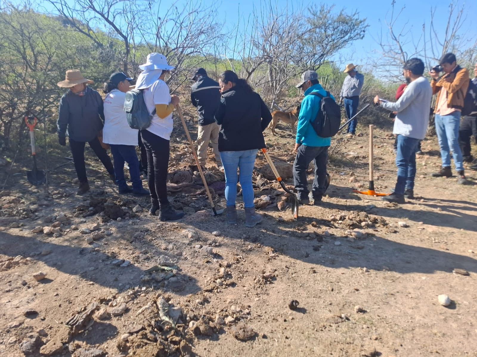 WhatsApp Image 2026-01-30 at 1.13.28 PM