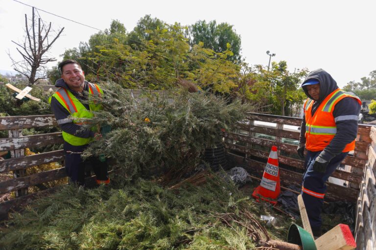 f65a5333-91fe-4180-92ed-59dc76198ee0