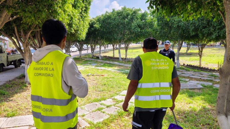 ff64bda5-d188-416b-a5a5-e41ef0e87c99