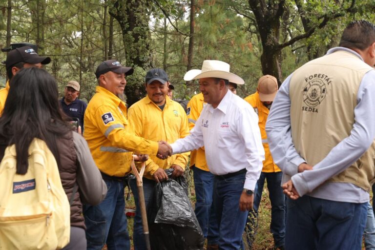 71_273_51668_1928706433_Inicio_de_reforestacion_San_Martin_05-06-2026_6