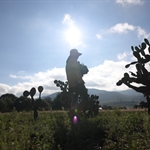 IMG_2983.jpeg
