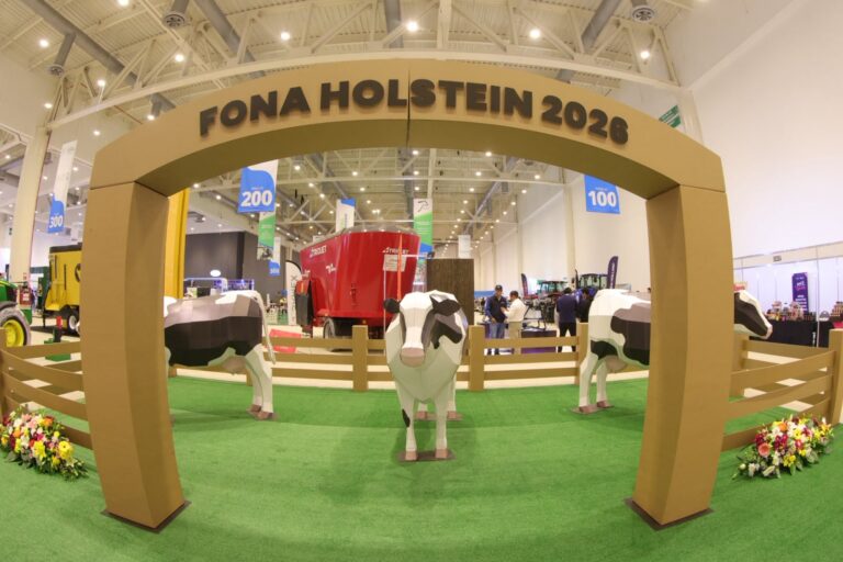 71_273_52120_992018741_Fonaholstein_27-07-2026_12.jpeg