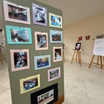 IMG_3288.jpeg